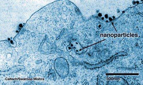 500x_cancer_nanoparticles.jpg